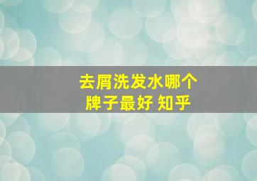 去屑洗发水哪个牌子最好 知乎